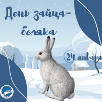 День зайца-беляка День зайца-беляка.